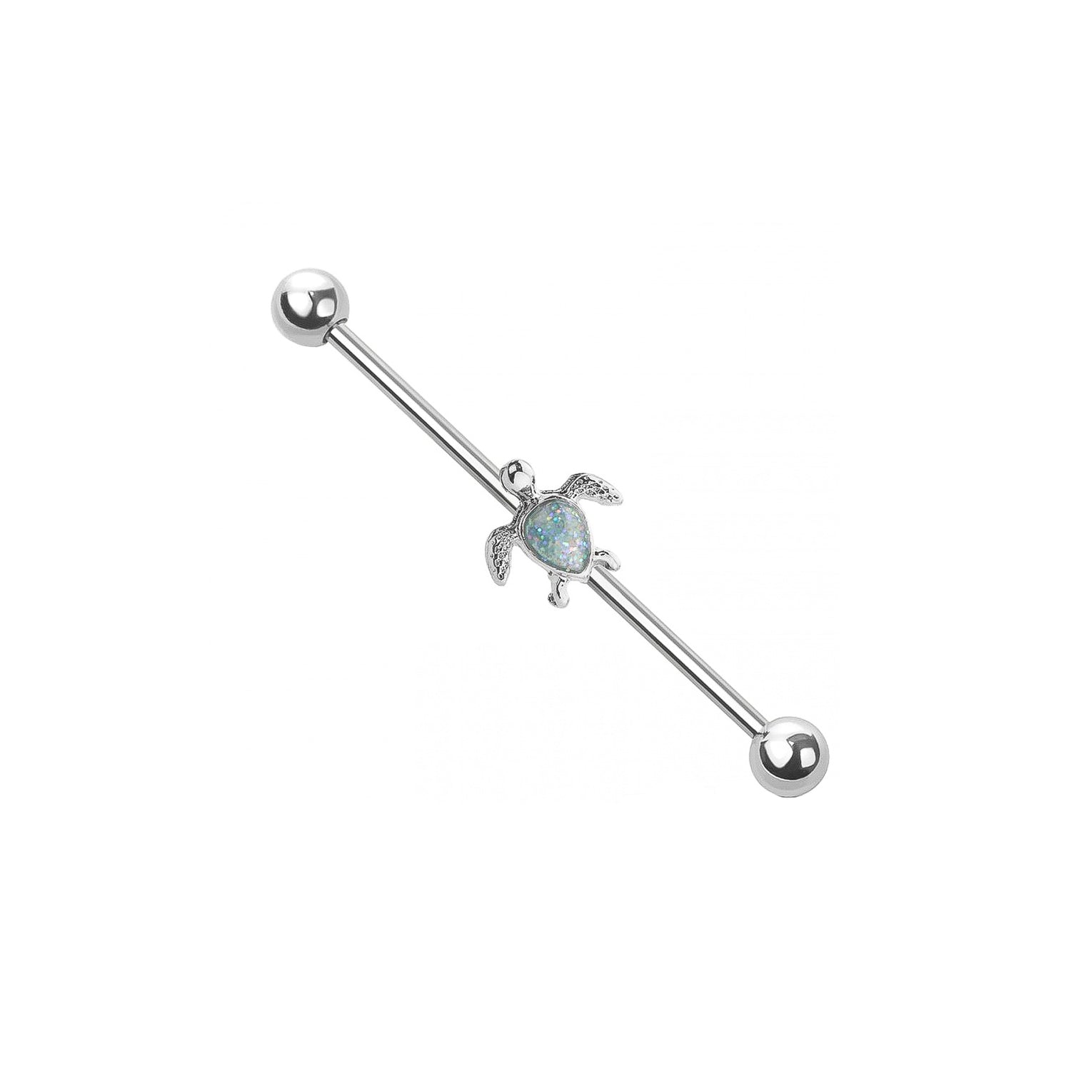 Sea Turtle Industrial Barbell